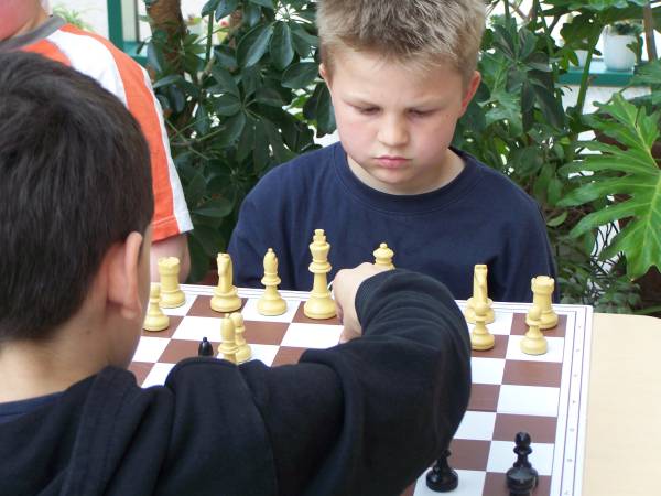 scholl_23.jpg
